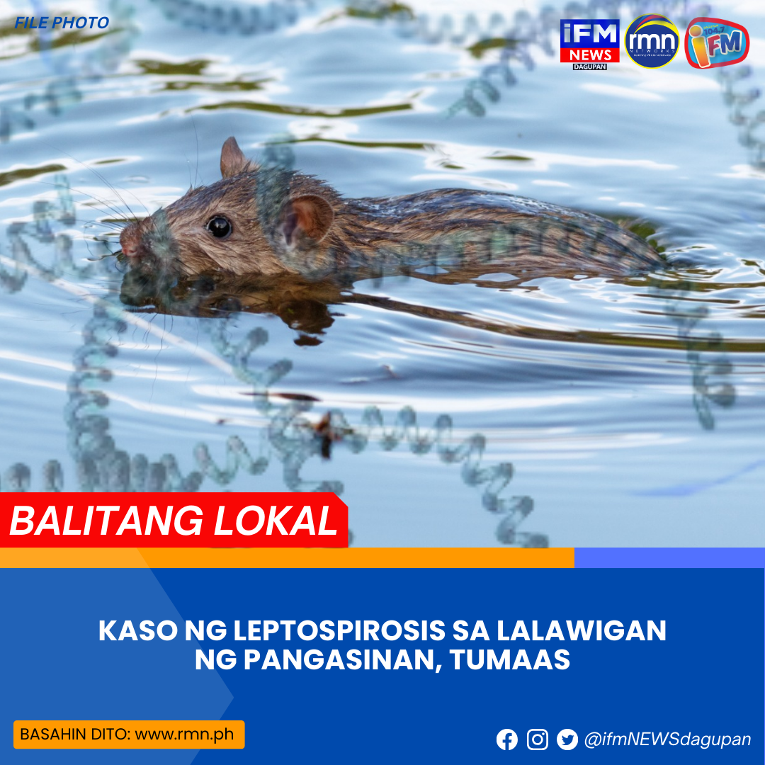 KASO NG LEPTOSPIROSIS SA LALAWIGAN NG PANGASINAN TUMAAS RMN Networks