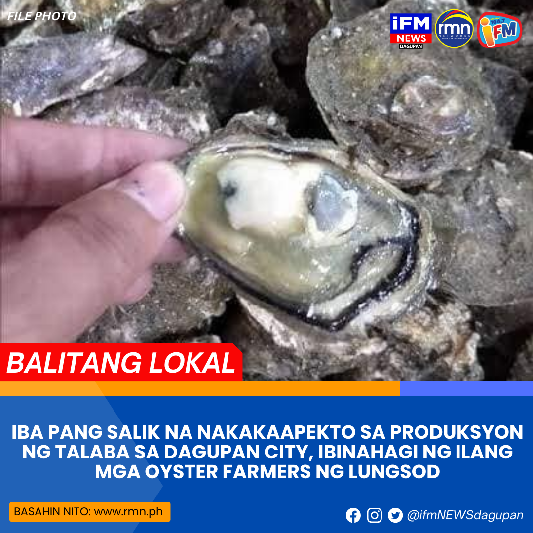 IBA PANG SALIK NA NAKAKAAPEKTO SA PRODUKSYON NG TALABA SA DAGUPAN CITY