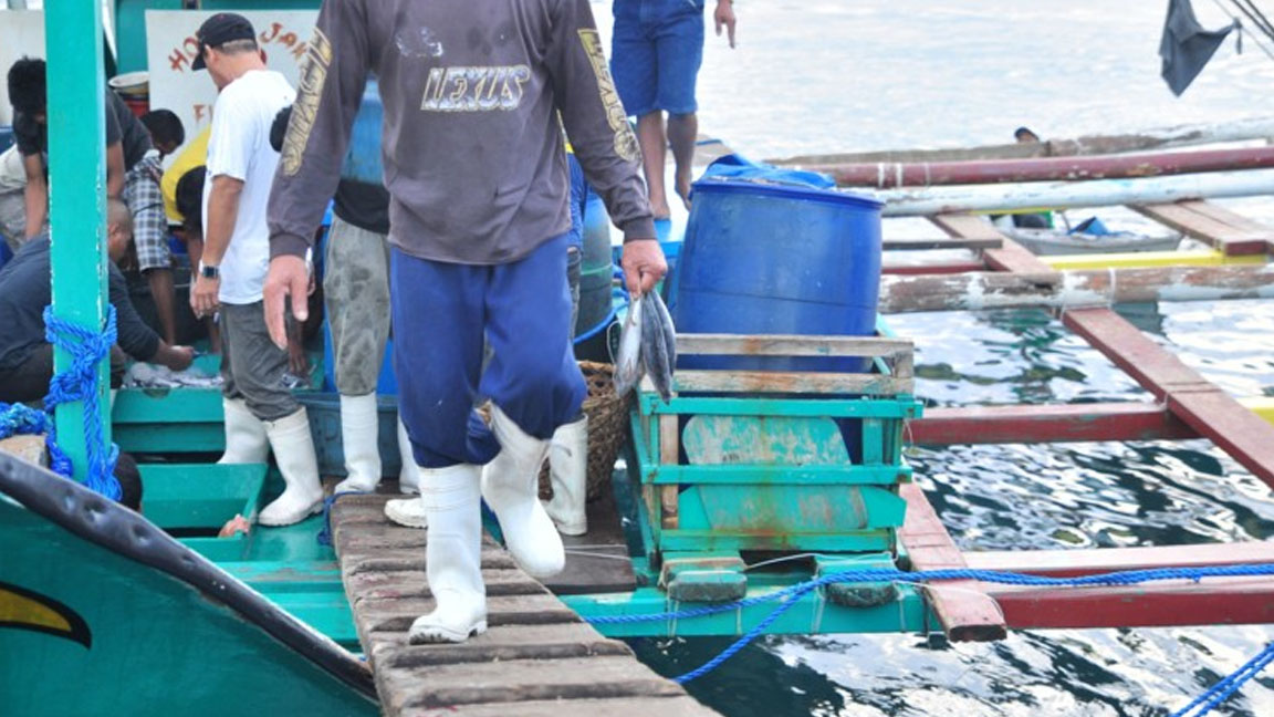 Mga Mangingisdang Pinoy Nakapangisda Ng Mahigit Tonelada Sa Bajo