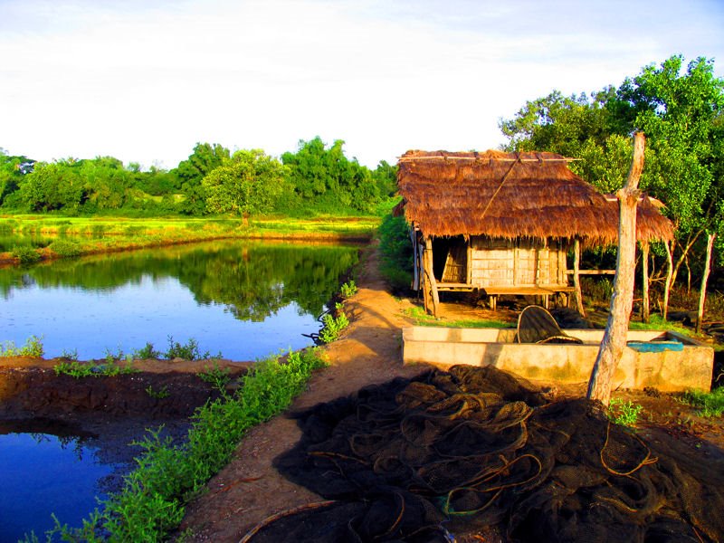 fishpond RMN Networks