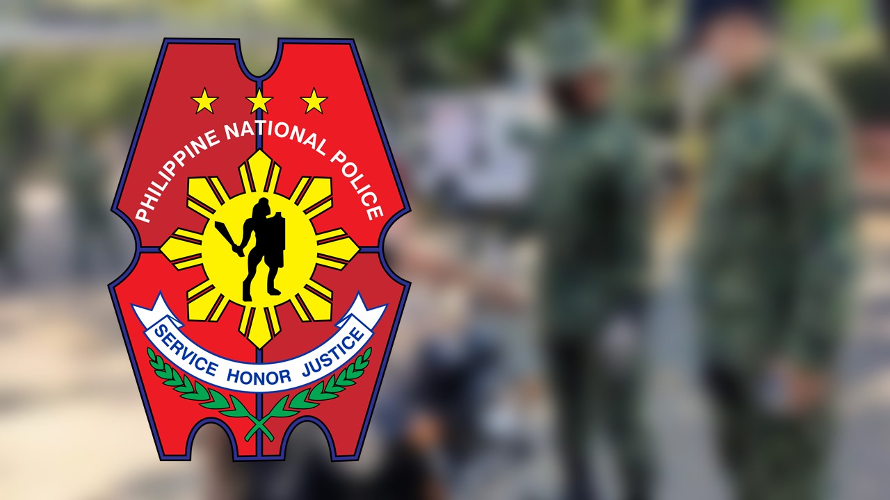 Pnp Checkpoints Rmn Networks 7698