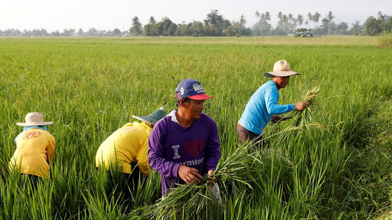 Importasyon sa sektor ng agrikultura, dahilan ng patuloy na gutom ng