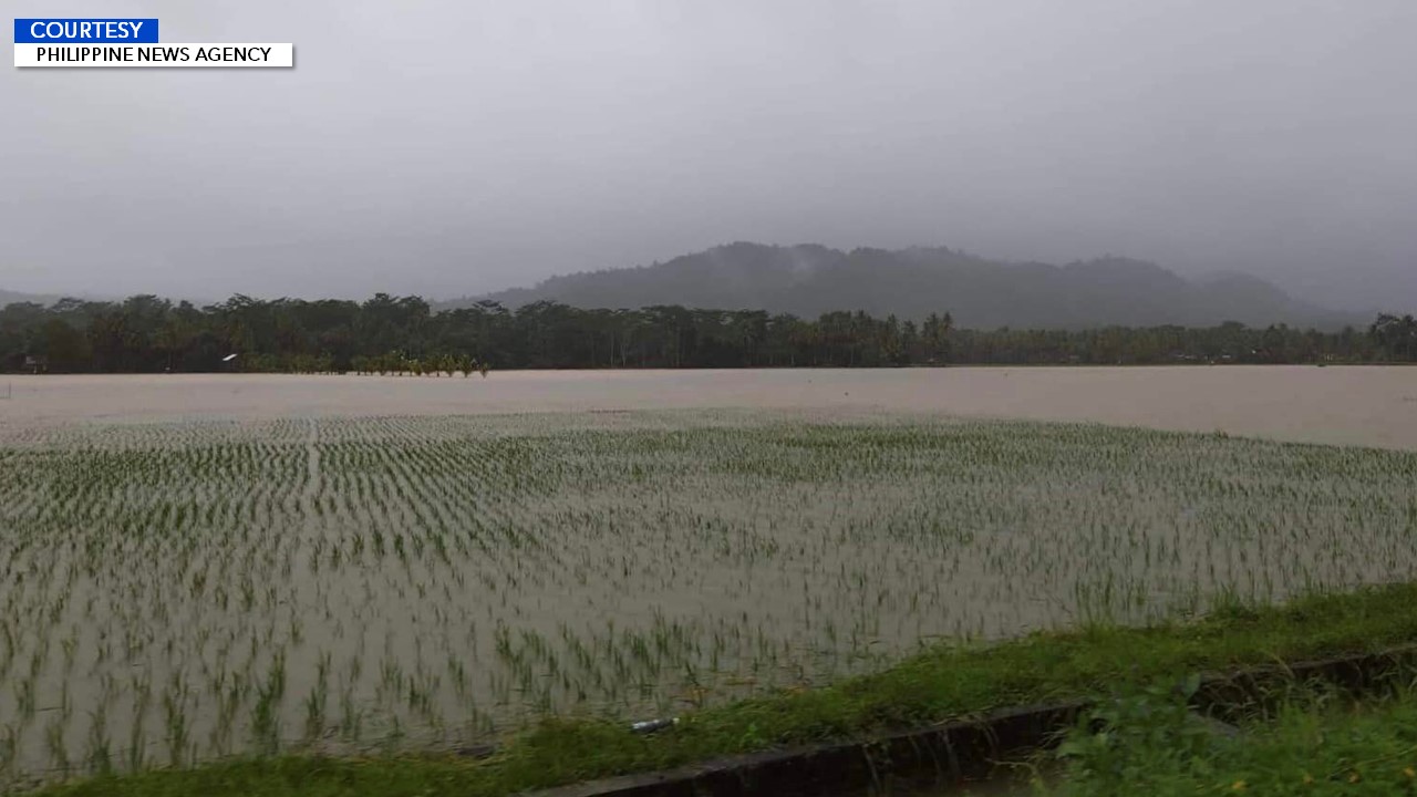 Halaga Ng Pinsala Sa Sektor Ng Agrikultura Dahil Sa Pagbaha At Pag Uulan Sa Ilang Rehiyon Sa 1264