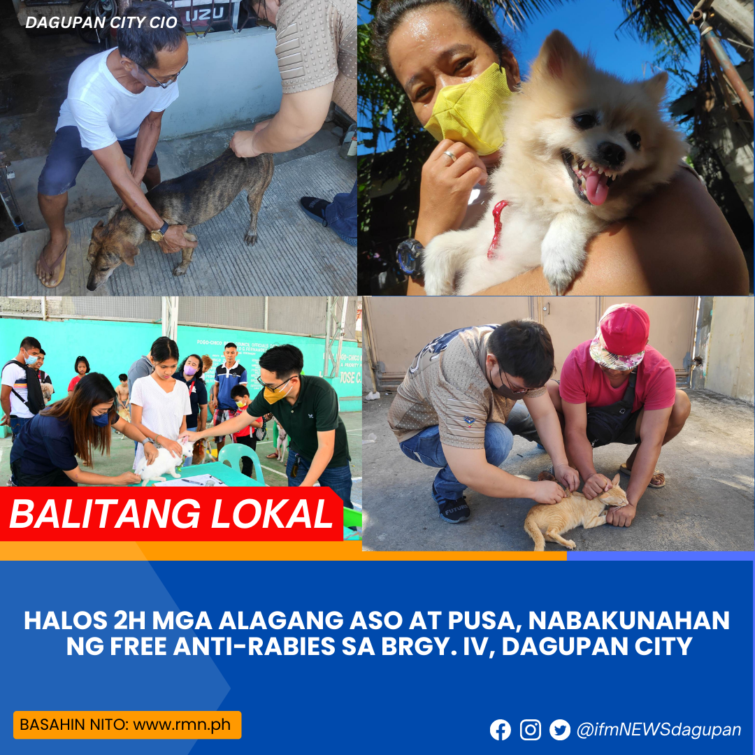 HALOS 2H MGA ALAGANG ASO AT PUSA, NABAKUNAHAN NG FREE ANTI-RABIES SA ...