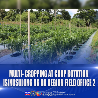 MULTI- CROPPING AT CROP ROTATION, ISINUSULONG NG DA REGION FIELD OFFICE ...